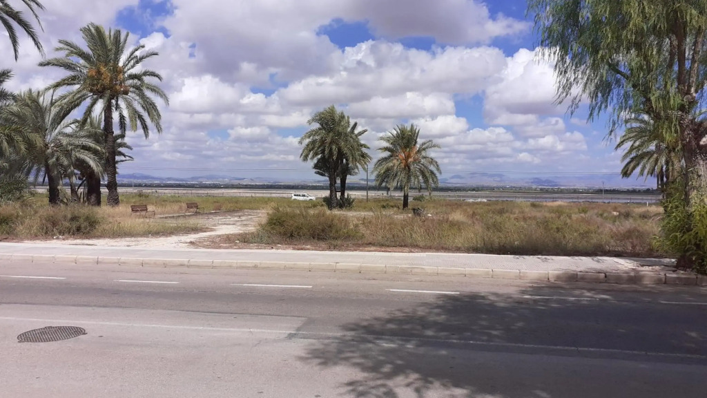 Vacaciones en playa del Tamarit