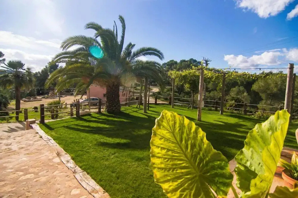 Masia Pou de la Vinya