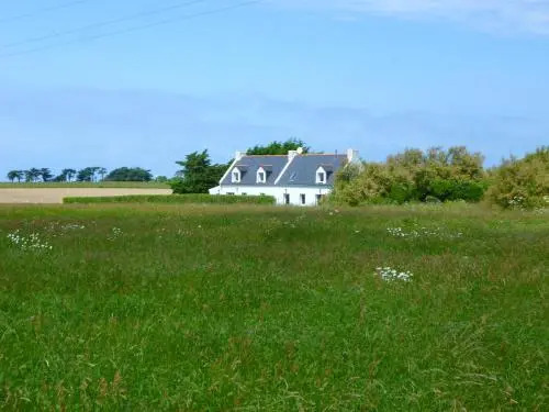 House Maison mitoyenne de 3 chambres, avec jardin située à proximité de la plage