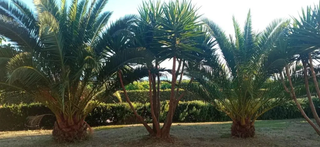 Villa Martina