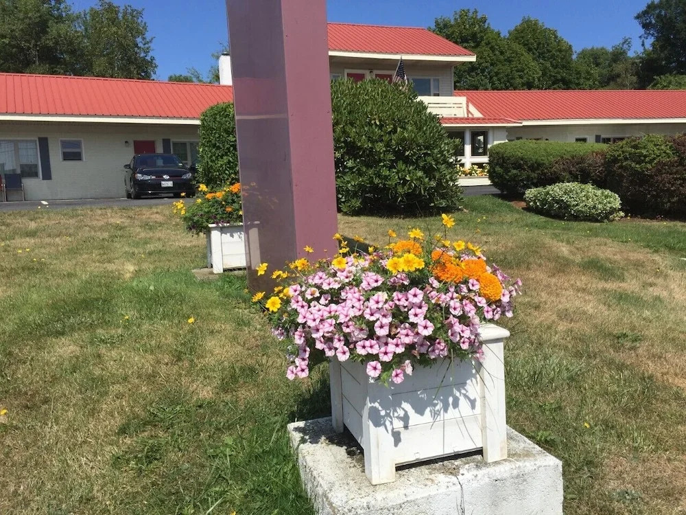 Gull Motel
