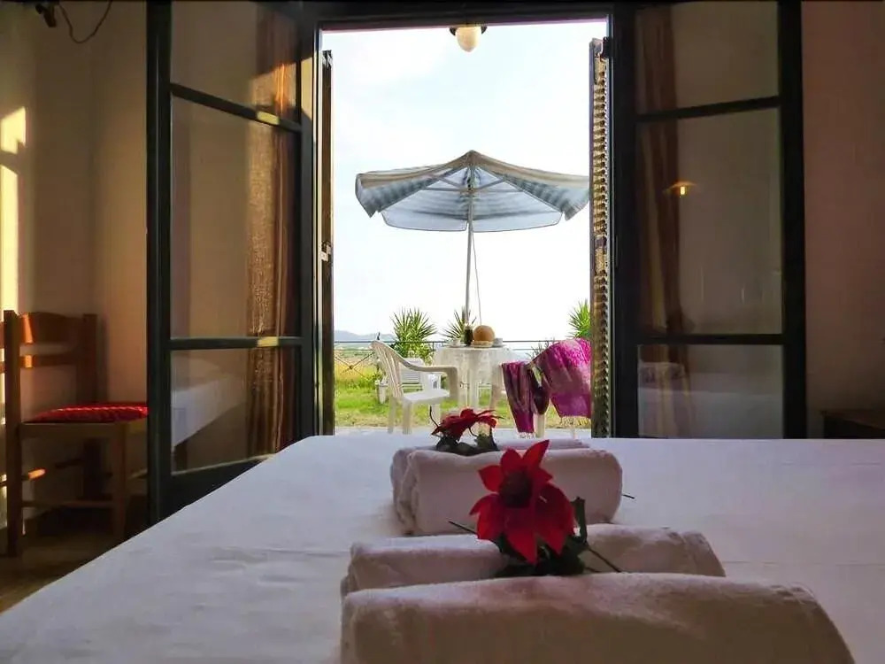 Garden Overlooking the Sea Near the Beaches