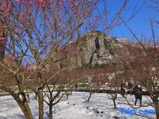 Wenzhou Yueqing Yandang Mountain Valley Homestay