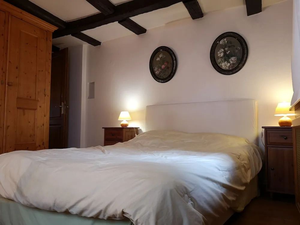 Magnifique Loft Alsacien - Sauna