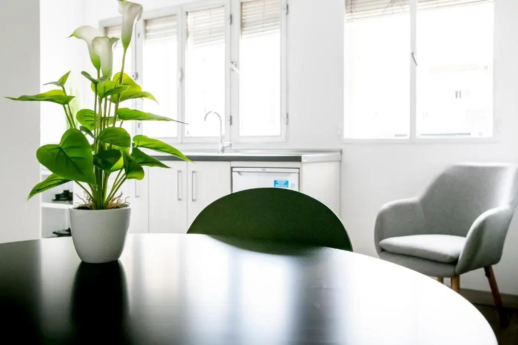 Alameda Principal FreshApartments