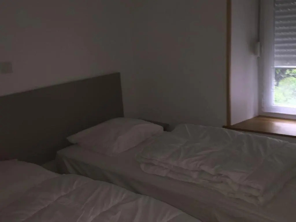 Appartement Mont-Dore, 3 pièces, 4 personnes - FR-1-415-16