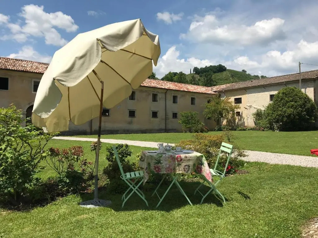 Fiori&vigne di Cecilia Marcon