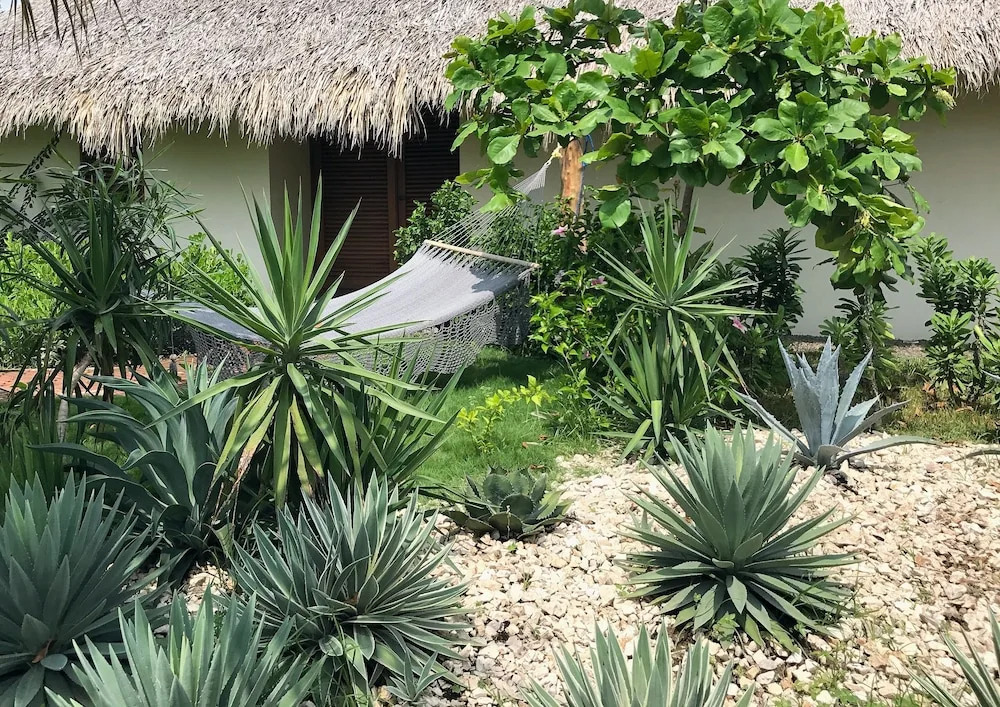 Malibu Popoyo