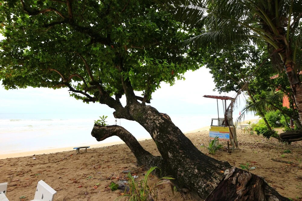 Sand Resort