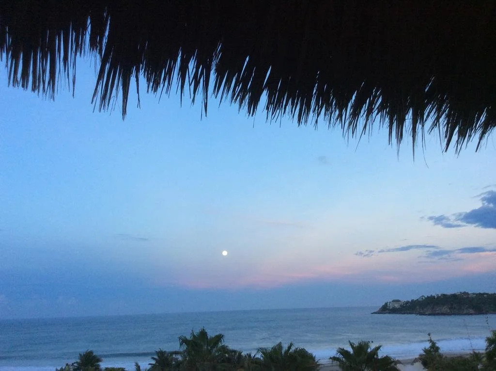 Hotel Buena Vista