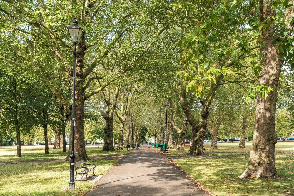NEW Amazing 1 Bedroom Flat in Trendy Highbury