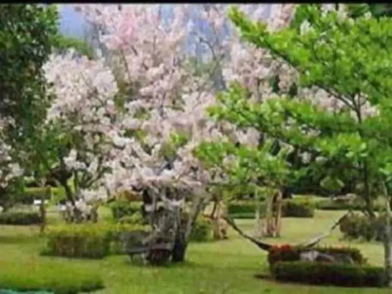 Muang Pai Resort