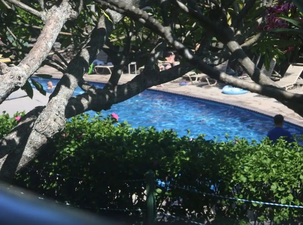 300 Steps to Beach Napili Shores Pool & BBQ