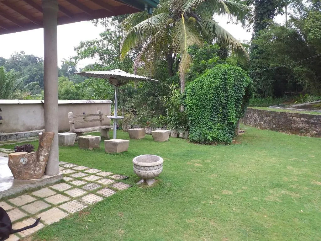 Tea Leaf Retreat