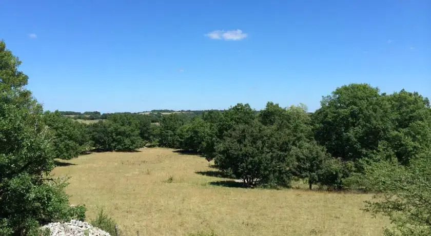 Domaine de Terre Rouge