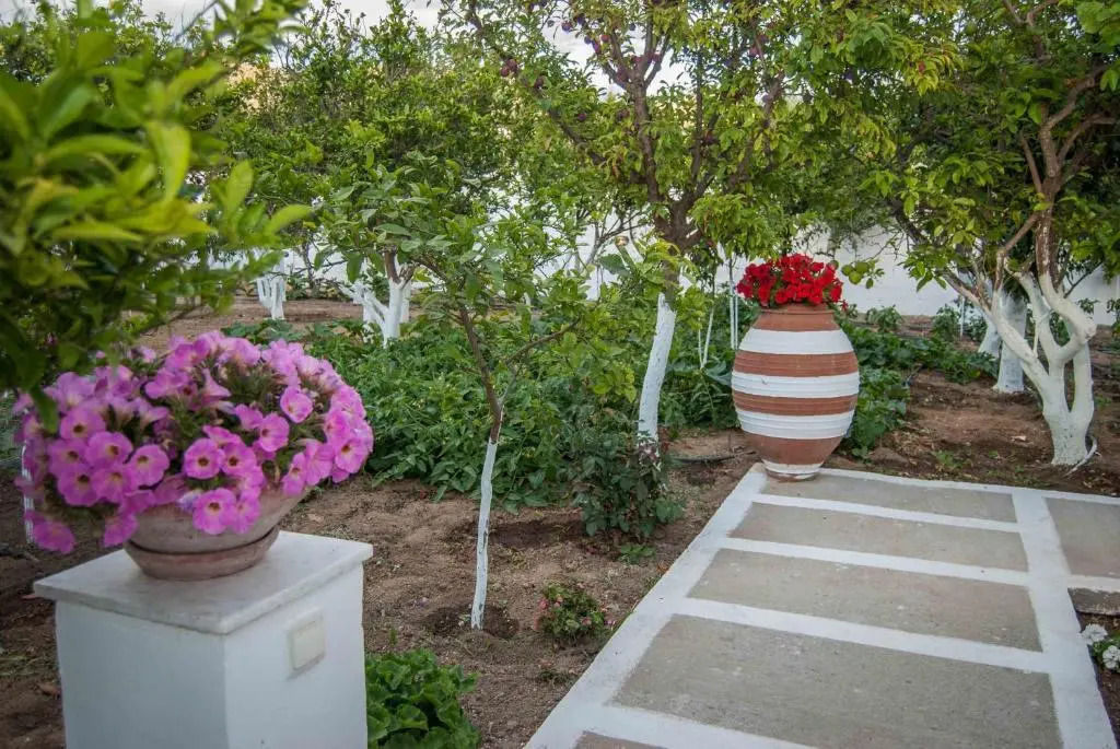Perivoli 3-Chora(5min away from the center by car)