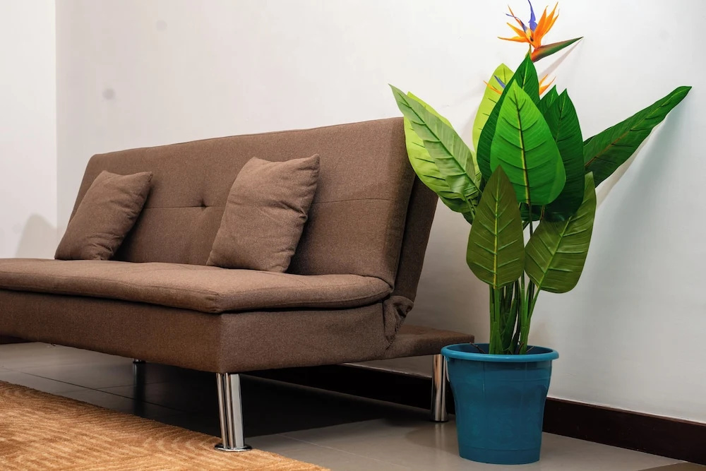 5 Star Exclusive Beach Apartment in Kilifi County