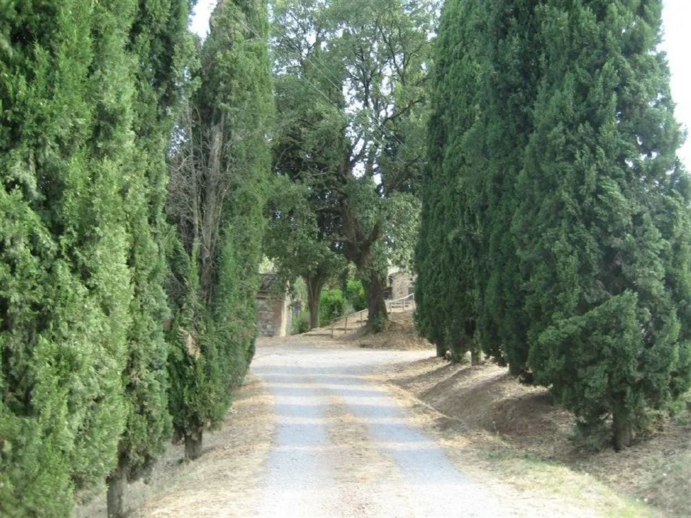 B&B Locanda Toscanini