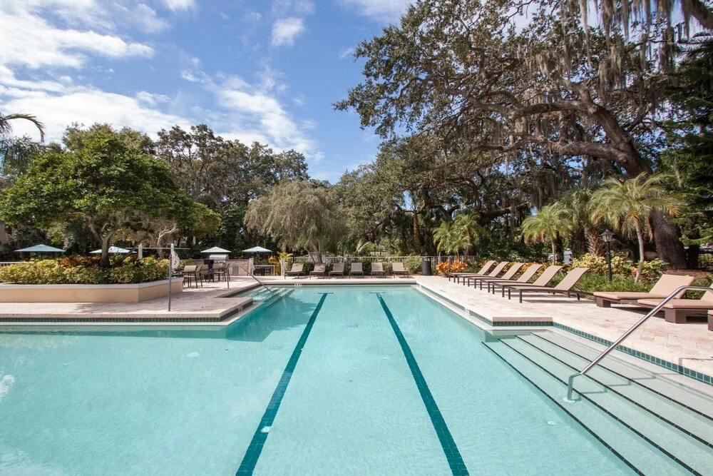 CP-514: Luxury Clearwater Apartment