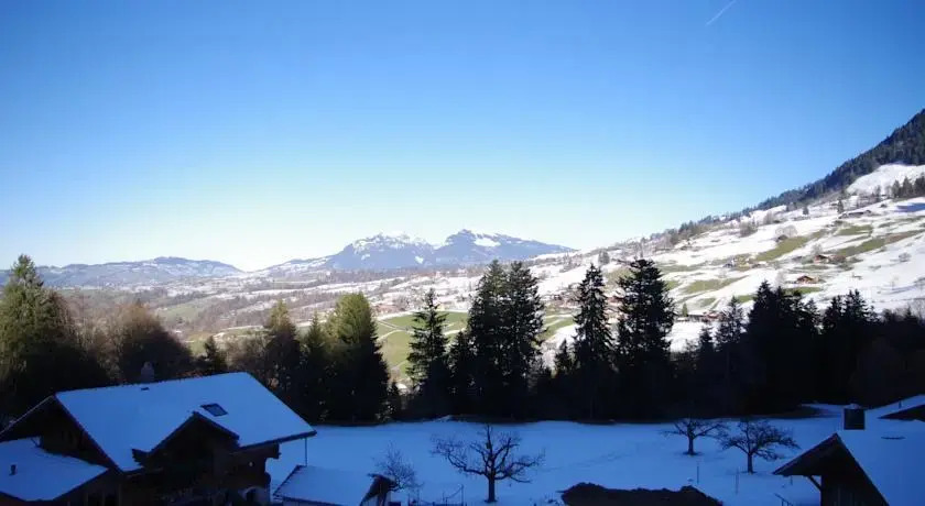Niesenblick