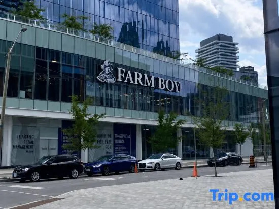 JLadybug Suites |  Toronto  sugar beach 2B
