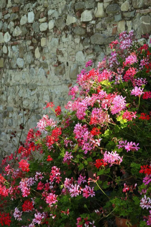Rovezzano B&B