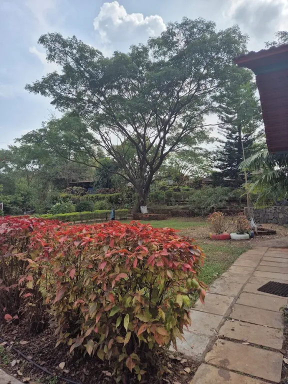 Camp Temgarh