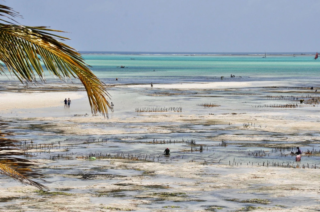 Kimte Beach Lodge