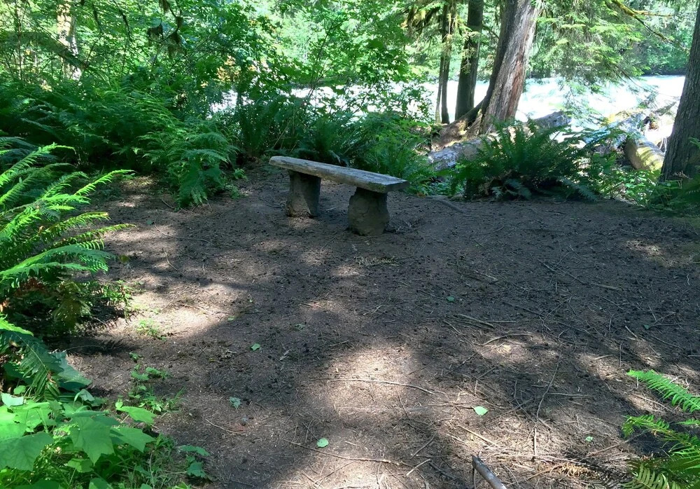 Mt Baker Lodging - Cabin Story Cabin in the Woods! Free Wifi