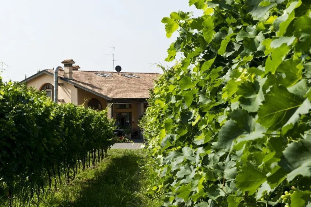 Casa Pierina Agriturismo