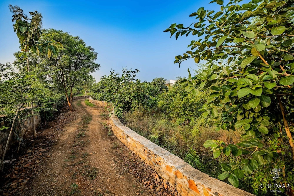 Guldaar - A Luxury Forest Retreat
