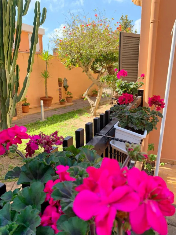 Piana Apartment