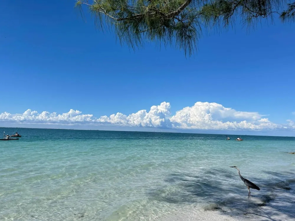 Beach Serenity - Anna Maria