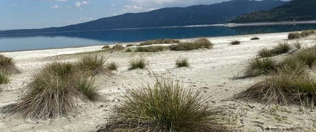 Fİ SALDA