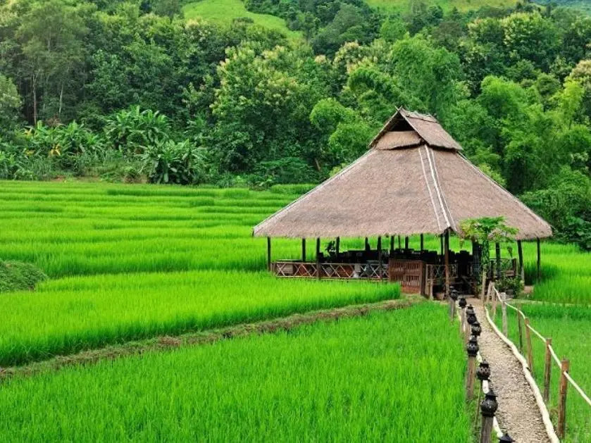 Kamu Lodge
