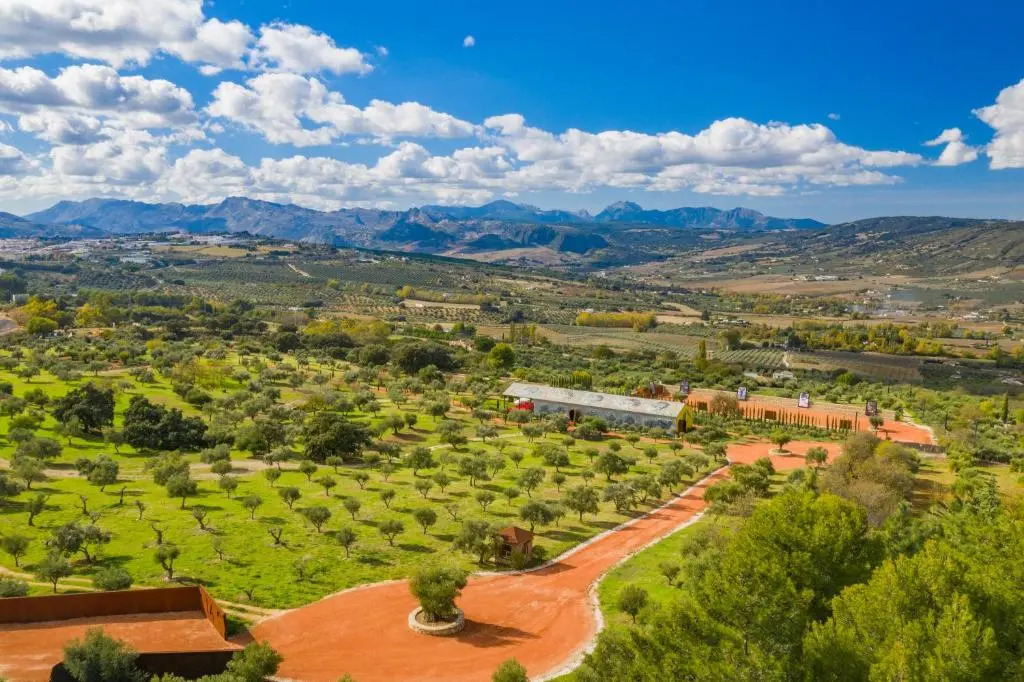 Cortijo LA Almazara
