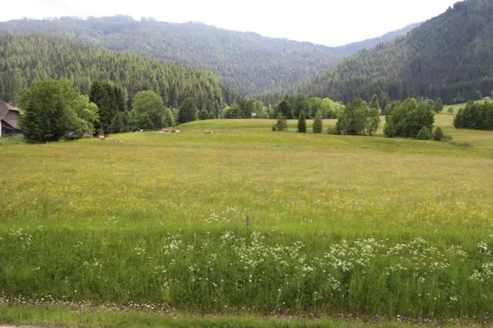 Gnesau 26