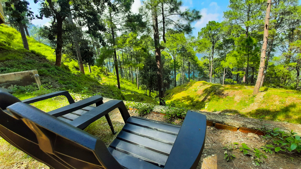 The Woods Retreat