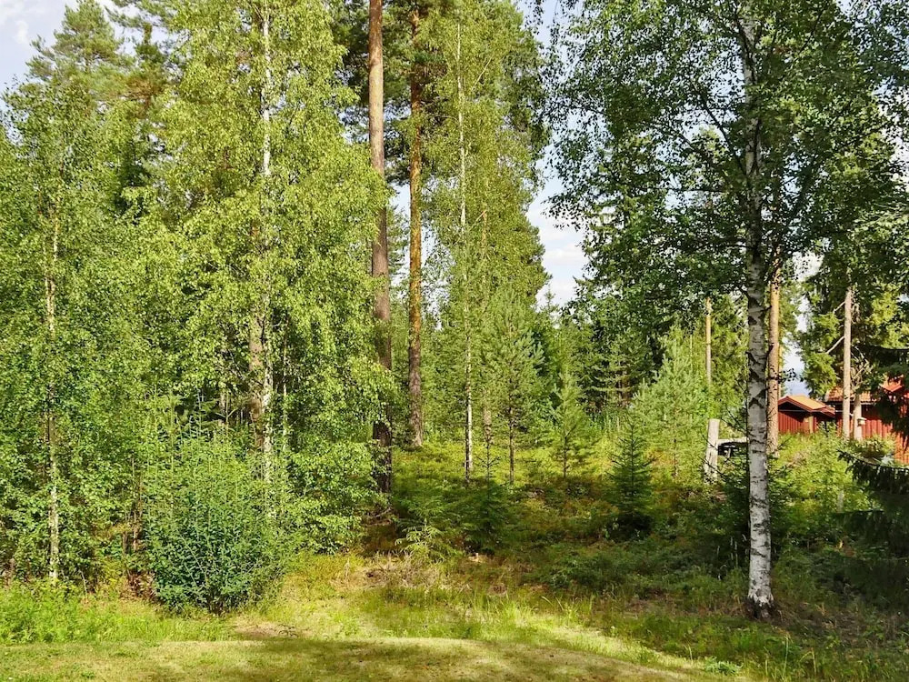 6 Person Holiday Home in Vikarbyn