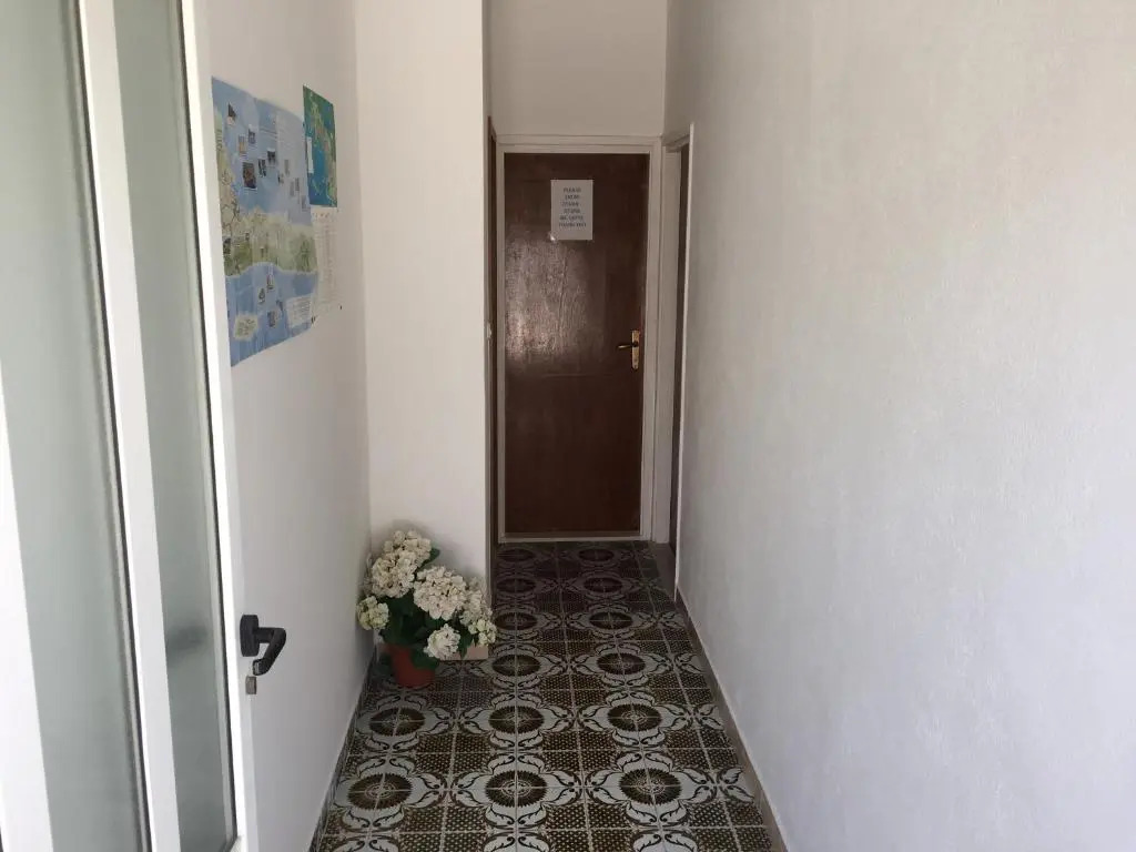 Apartments Jani