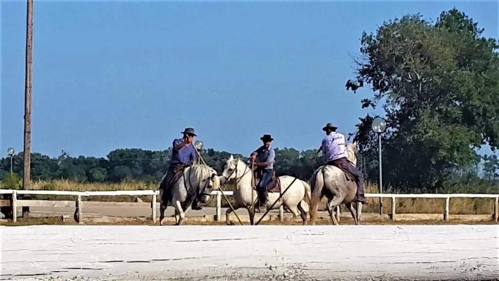 Appartement wifi, piscine, spa, clim, +vélo à Arles en Camargue pour 6 pers