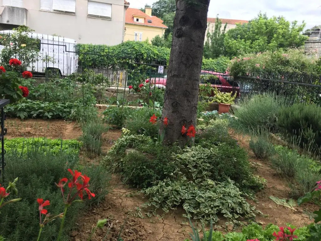 Apartments Ursic