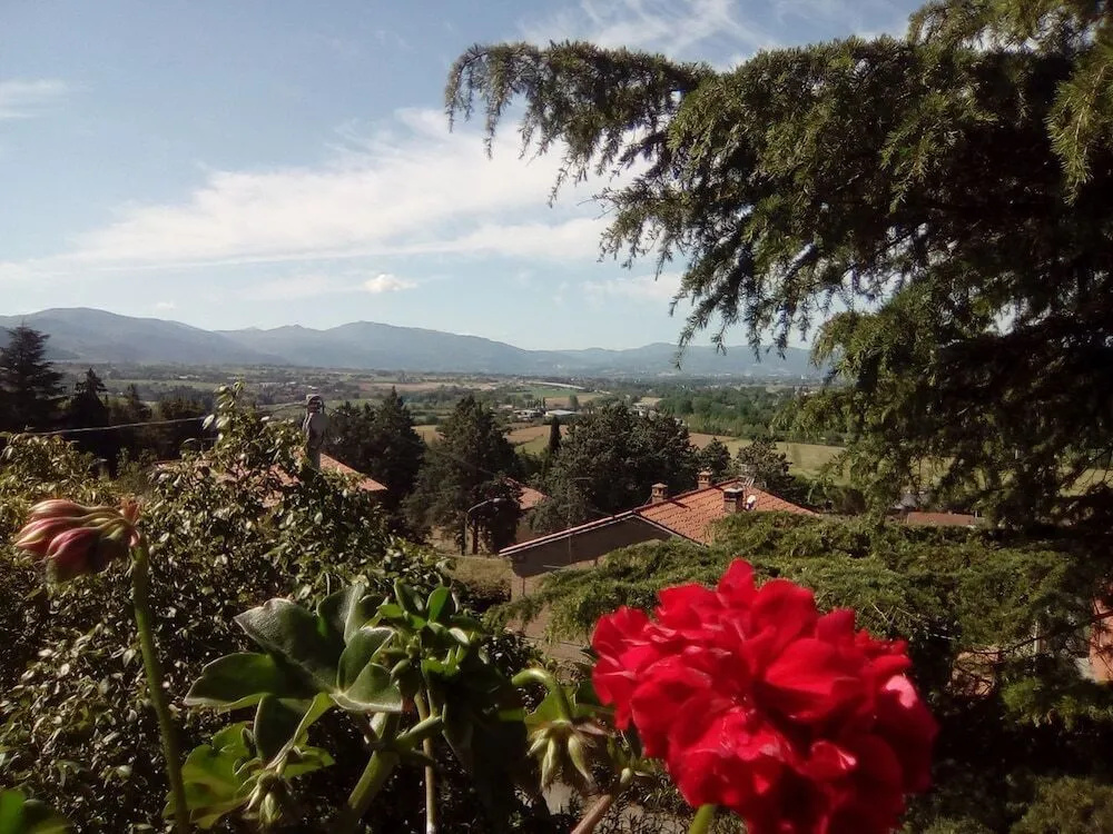 B&B Il Giovine