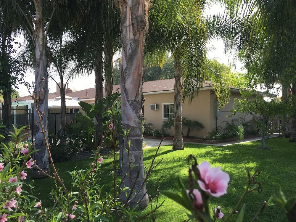 Palm Villa
