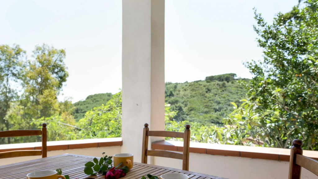 Apartment 4 Fetovaia, just 300 meters from the beach with parking space-FETOVAIA BILO 4