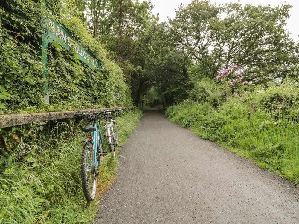 The Halt, Bodmin
