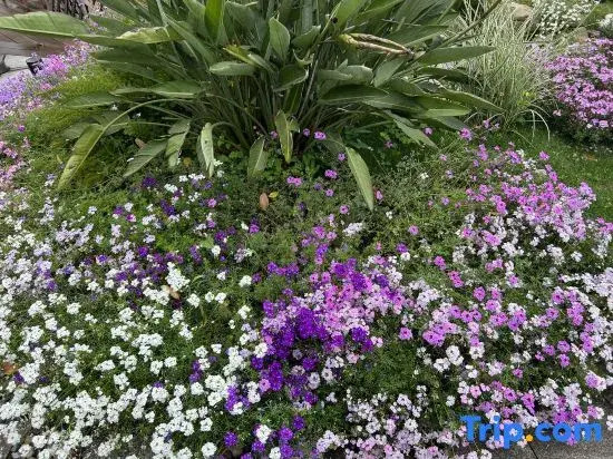 Zeyi Garden Hotel