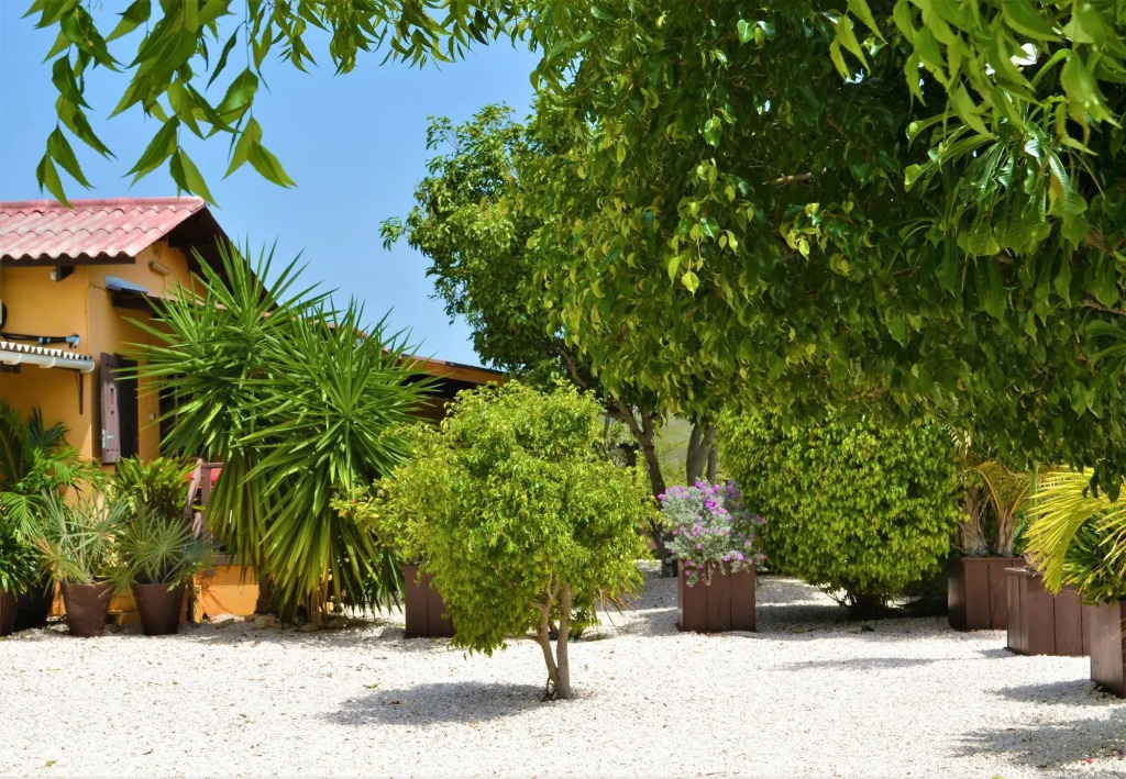 Jan Kok Lodges