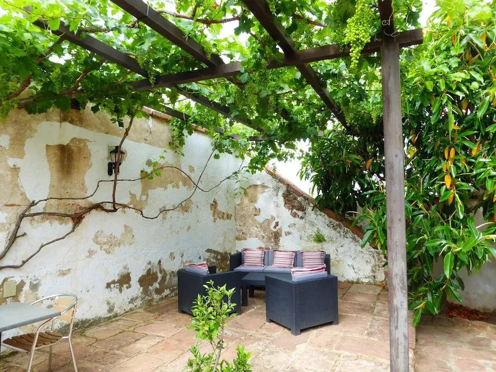 Olivetum Colina