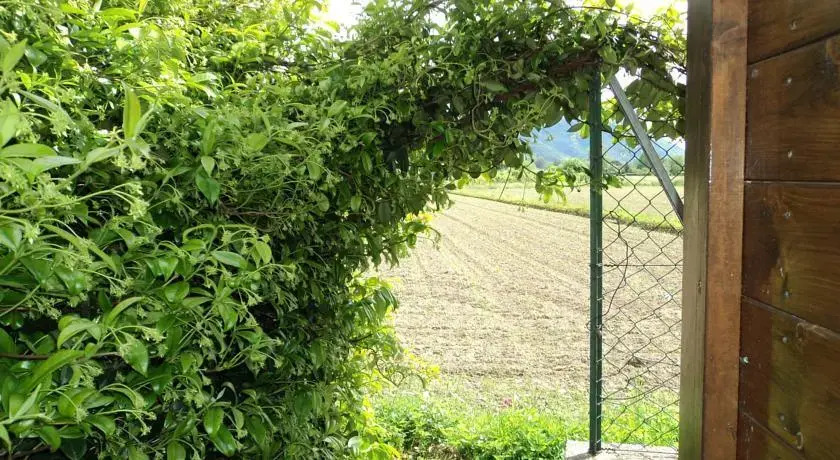 Casa Vacanze Il Gelsomino